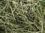 Žolinis &scaron;ienas triu&scaron;iams ir graužikams, 500 g, natūraliai džiovintas