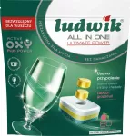 Indaplovės tabletės Ludwik All in One su greipfrutų aromatu, 80 vnt.