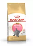 Sausas maistas kačiukams Royal Canin British Shorthair, 2 kg