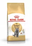 Sausas kačių maistas Royal Canin British Shorthair, 4 kg