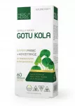 Maisto papildas smegenų kraujotakai MEDICA Gotu kola