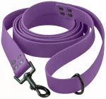 Vandeniui atsparus pavadėlis &scaron;unims Dog Crazy, violetinis, 1,5 m x 25 mm