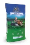 Triu&scaron;ių pa&scaron;aras ENERGYS Klasik 10 kg