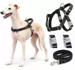 &Scaron;unų petne&scaron;ų ir pavadėlio rinkinys WEBBING STRONG Wuffley, dydis M