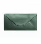 Vokai DL, žalsva perlamutrinė spalva, 10 vnt., PAPER GALLERY 280144