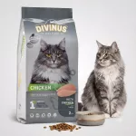 Sausas kačių ėdalas DIVINIUS su vi&scaron;tiena, suaugusioms katėms, 2 kg