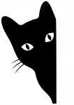 Lipdukas automobiliui ar motociklui LOOKING KITTEN 12 x 6,5 cm