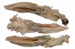 Kramtukai kūdikiams &bdquo;Rabbit Ears&ldquo; su natūraliu kailiuku, 10 vnt.