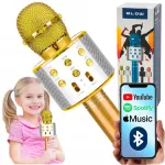 Belaidis Bluetooth karaoke mikrofonas&ndash;kolonėlė vaikams, puiki dovana