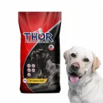&Scaron;unų ėdalas THOR su vi&scaron;tiena, 10 kg