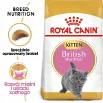 Sausas pa&scaron;aras kačiukams ROYAL CANIN British Shorthair, 2 kg