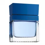 Tualetinis vanduo Guess Seductive Homme Blue 100 ml