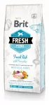 Sausas ėdalas didelių veislių suaugusiems &scaron;unims BRIT FRESH su žuvimi ir moliūgu, 2,5 kg