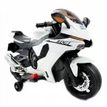 Variklio valdiklis MOTOR CHASER TR-1603, LED ap&scaron;vietimas, 45W variklis