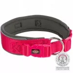 Premium antkaklis XS-S, 27&ndash;35 cm, 25 mm, fuksijos ir grafito spalvų