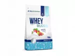 I&scaron;rūgų baltymai ALLNUTRITION Whey Delicious 700 g bra&scaron;kiniai