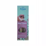 Graužikų skanėstas Maxi Treats su vaisiais, 140 g