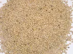 Baltoji sorų kruopos, 1 kg