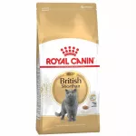 Sausas kačių ėdalas Royal Canin British Shorthair, 4 kg