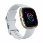 I&scaron;manusis laikrodis Fitbit Sense 2, mėlynas/auksinis