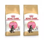 Katėms skirtas pa&scaron;aras ROYAL CANIN Maine Coon kačiukams, 8 kg