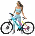 Moteri&scaron;kas elektrinis dviratis, aliuminis, 29", 80 Nm, 612 Wh, vizualus valdymo skydelio defektas, -10%