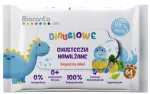 Drėgnos servetėlės BIOCANTO DINUSIOWE, 64 vnt.