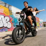 Elektrinis kalnų dviratis Bodywel M16, 16", 250W, 48V 13Ah, Fatbike
