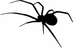Automobilio lipdukas SPIDER, be fono, 10 x 15 cm