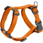 &Scaron;unų petne&scaron;os Hunter London VR 22-36 cm, XXS, oranžinės