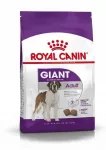 &Scaron;unų pa&scaron;aras Royal Canin Giant Adult, 5 kg