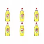 Indų ploviklis Fairy Extra+ Citrus, 650 ml, 6 vnt.