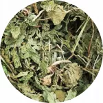 Plataus lapo žolė graužikams, 500 g, Royal Herbs