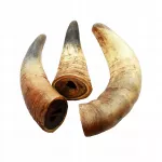 Jautienos ragai &scaron;unims, 1 kg (2&ndash;4 vnt.)