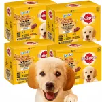 &Scaron;lapias &scaron;unų maistas Pedigree jaunoms veislėms, įvairių skonių, 48 x 100 g