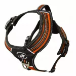 Sportiniai įtvarai 3X-SPORT, oranžiniai, XS dydis