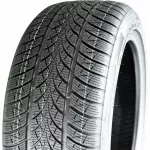 Žieminė padanga Triangle WINTERX TW401 225/50R17 98V