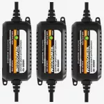 12V automatinis akumuliatoriaus įkroviklis 800 mA su desulfatacija