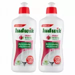 Indų ploviklis LUDWIK su granatais ir verbenomis, 2 x 450 ml rinkinys
