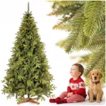 Dirbtinė eglutė ROYAL TREES Siberian Spruce, 240 cm, tanki, su stovu