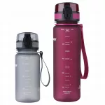 Vandens filtro butelis Aquaphor City, 350 ml ir 500 ml