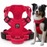 &Scaron;uns petne&scaron;os GUARD COMO, raudonos, M dydis, be spaudimo