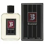 Vyri&scaron;kas tualetinis vanduo Puig Brummel, 500 ml
