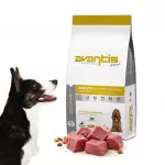 Sausas ėdalas su ėriena ir ryžiais suaugusiems &scaron;unims Avantis Pet Gourmet, 15 kg