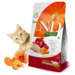 Sausas maistas sterilizuotoms katėms ND Pumpkin Suputėle ir Moliūgu, 5 kg