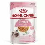 &Scaron;lapias kačiukų maistas Royal Canin su žele, 12 x 85 g