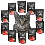&Scaron;lapi katės pa&scaron;tetai Dolina Noteci Rafi, įvairūs skoniai, 10 x 300 g