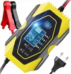 Automobilio įkroviklis 6A 12V/24V, 10L