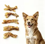 Džiovintos jautienos Achilo sausgyslės skanėstai &scaron;unims BEST-DOG, 500 g