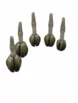 &Scaron;ėrykla Feeder Bomb QTS 20 g, 1 vnt.